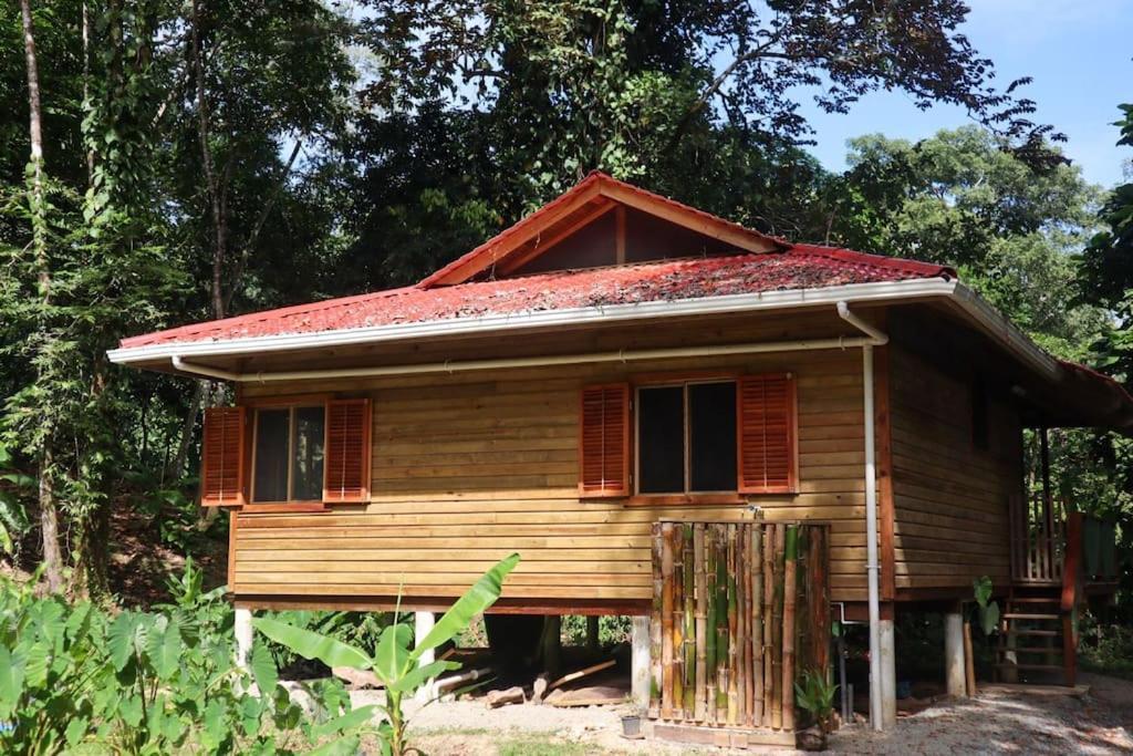 Jungle Beach 2 Bedroom Cottage Bocas Town Exterior photo