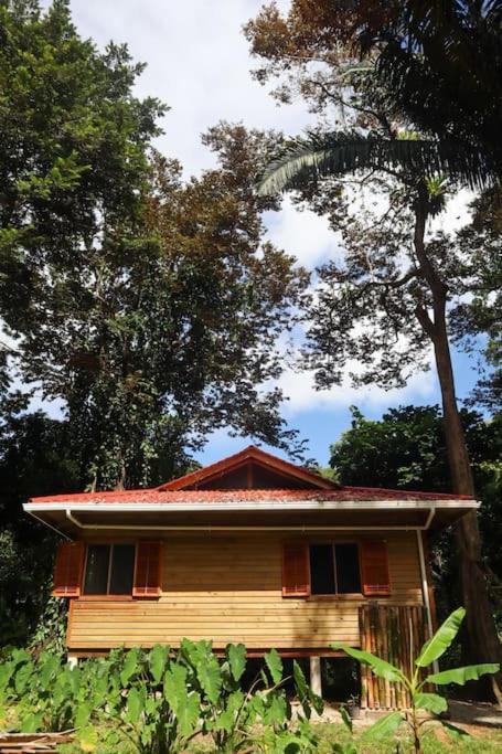 Jungle Beach 2 Bedroom Cottage Bocas Town Exterior photo