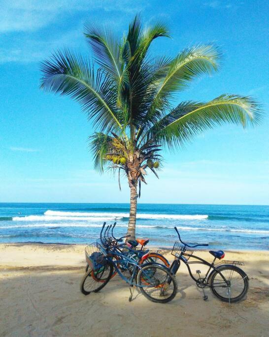 Jungle Beach 2 Bedroom Cottage Bocas Town Exterior photo