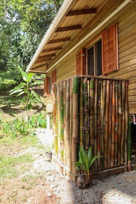 Jungle Beach 2 Bedroom Cottage Bocas Town Exterior photo