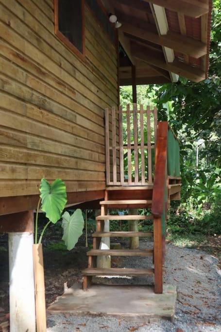 Jungle Beach 2 Bedroom Cottage Bocas Town Exterior photo