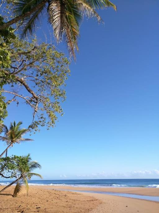 Jungle Beach 2 Bedroom Cottage Bocas Town Exterior photo